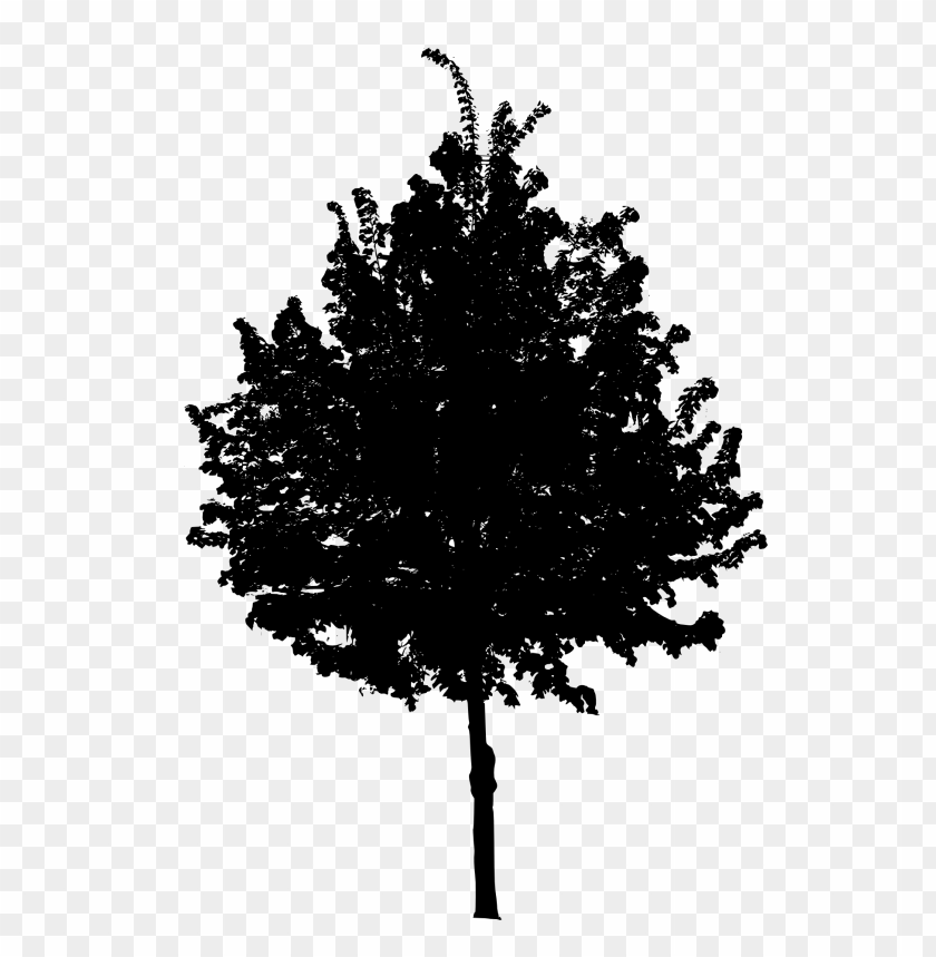 Detail Black Tree Png Nomer 3