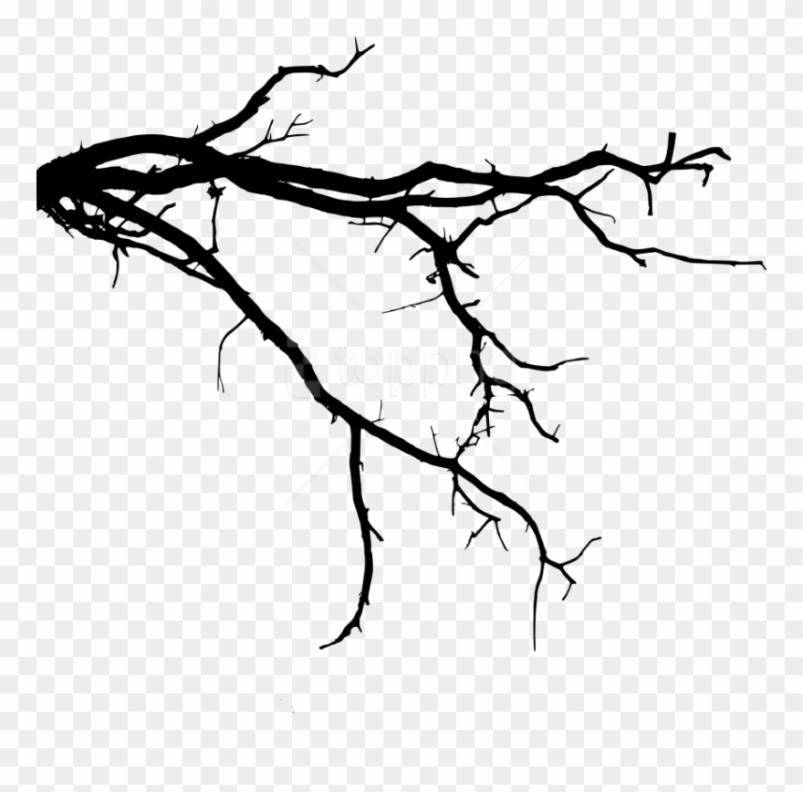 Detail Black Tree Png Nomer 29