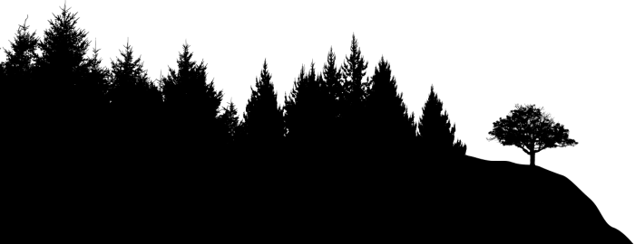 Detail Black Tree Png Nomer 31