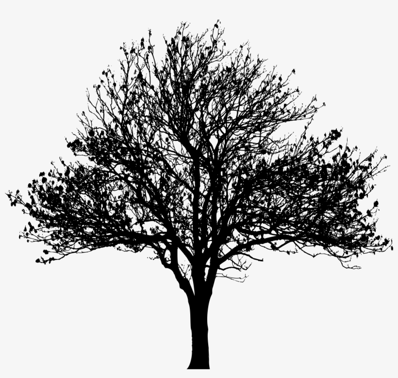 Detail Black Tree Png Nomer 32