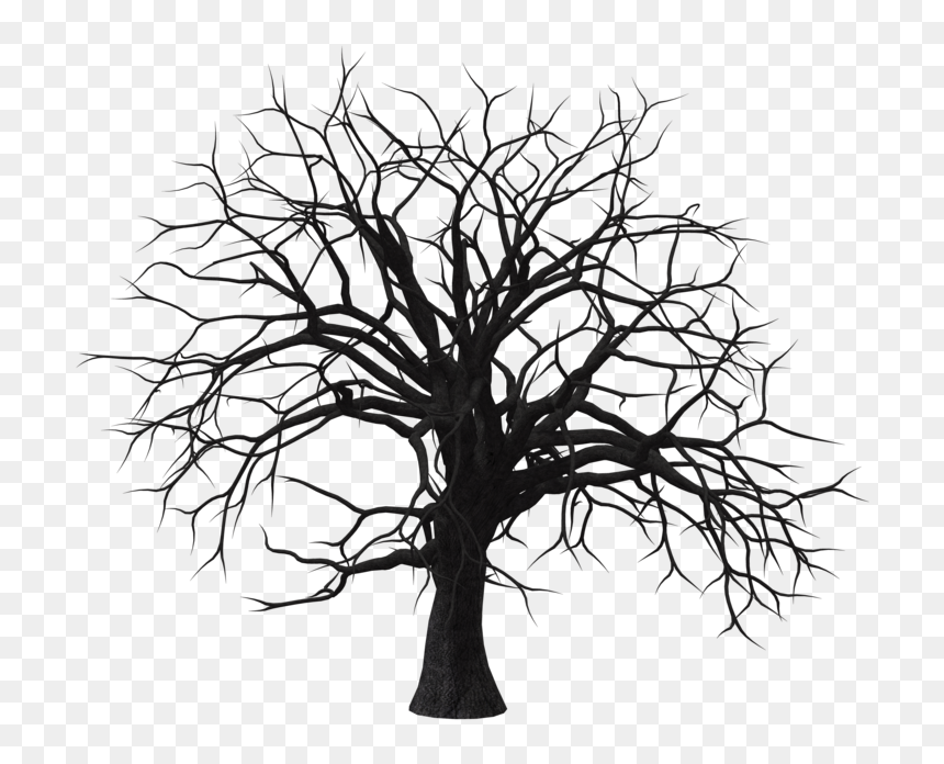 Detail Black Tree Png Nomer 40
