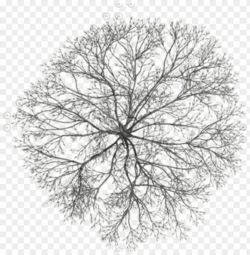 Detail Black Tree Png Nomer 41