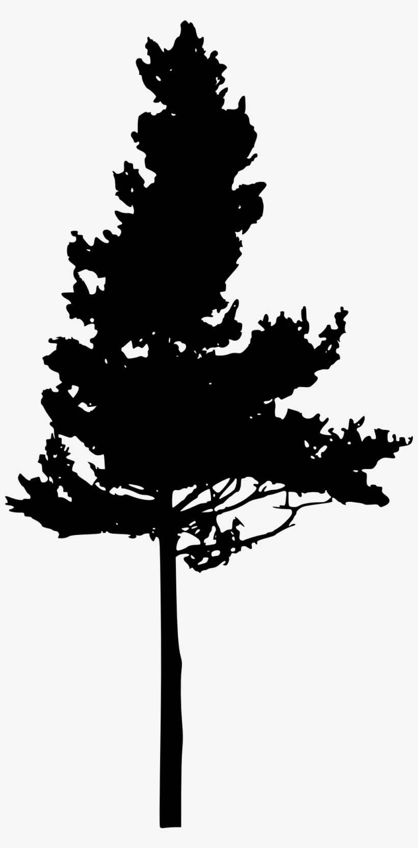 Detail Black Tree Png Nomer 42