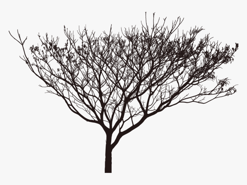 Detail Black Tree Png Nomer 47