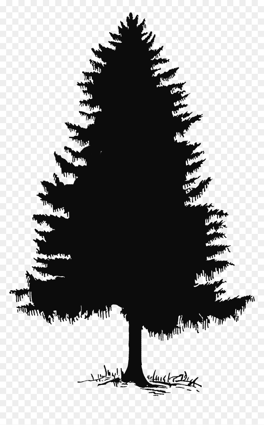 Detail Black Tree Png Nomer 54
