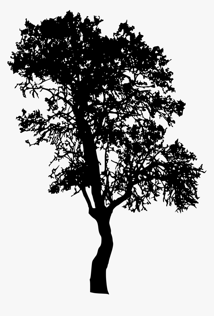 Detail Black Tree Png Nomer 55
