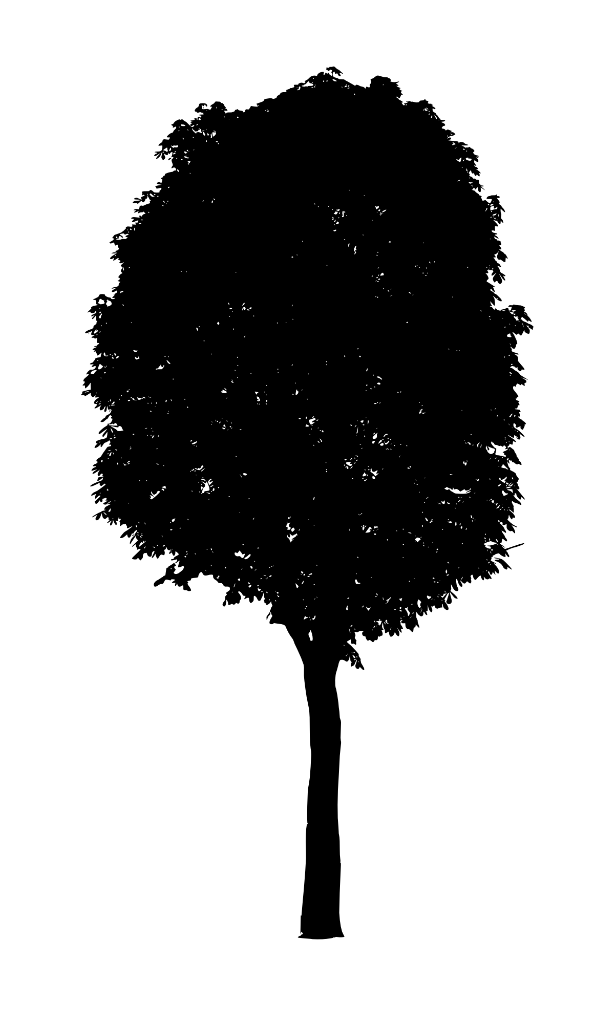 Detail Black Tree Png Nomer 9