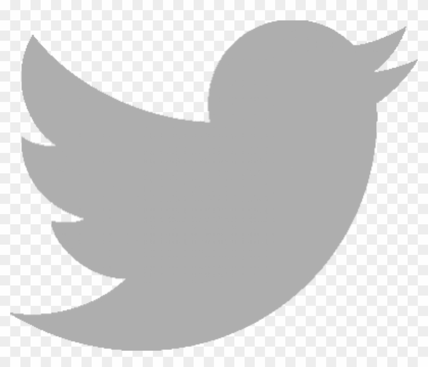 Detail Black Twitter Logo Transparent Background Nomer 33