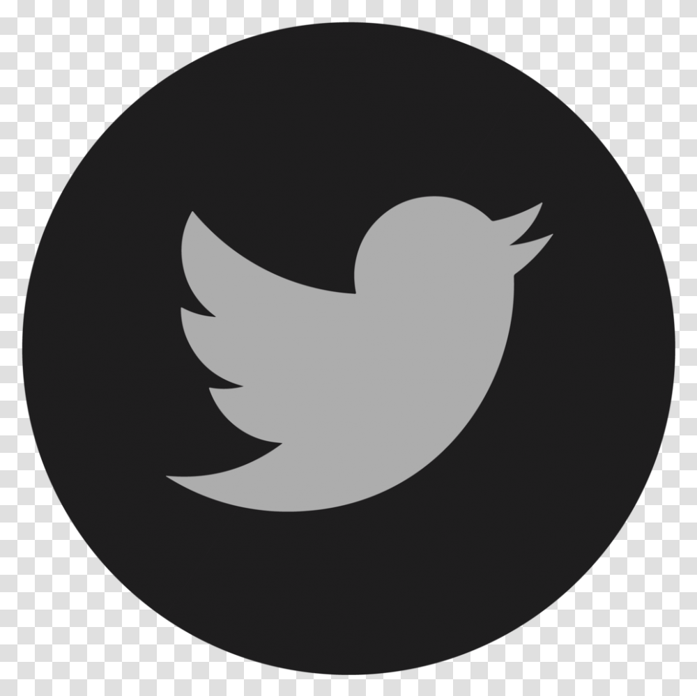 Detail Black Twitter Logo Transparent Background Nomer 41