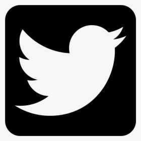 Detail Black Twitter Logo Transparent Background Nomer 8