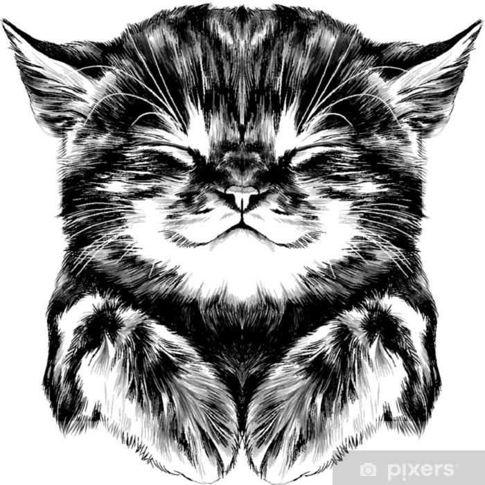 Detail Black Vector Art Nomer 36