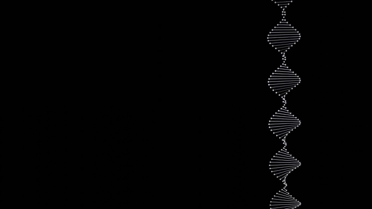 Detail Black Wallpaper Background Nomer 54