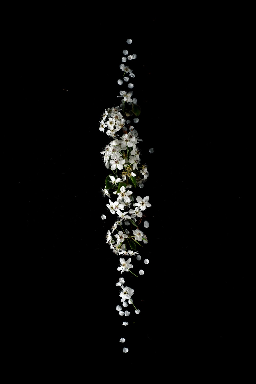 Detail Black Wallpaper Cool Nomer 33