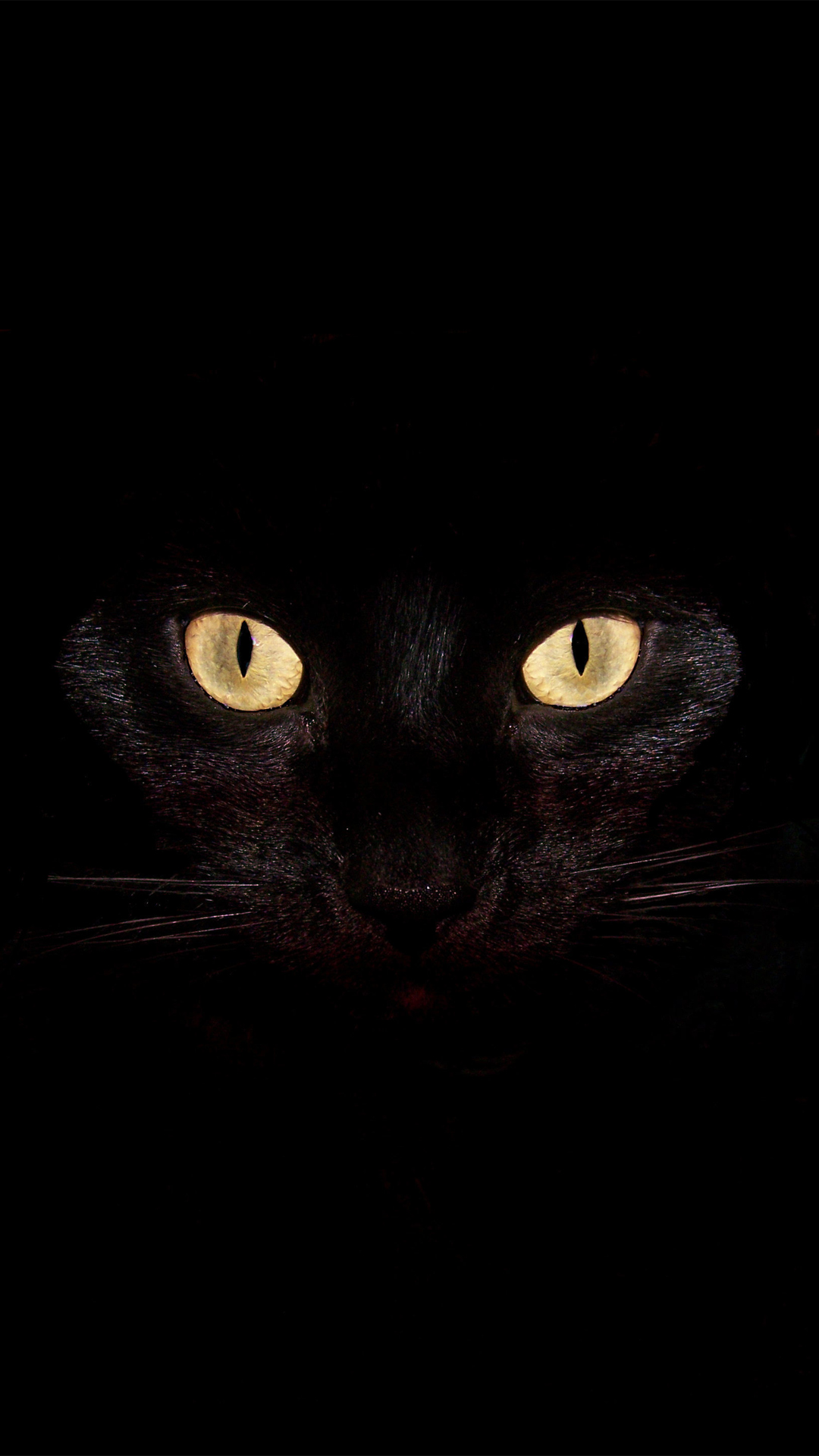 Detail Black Wallpaper For Android Nomer 52