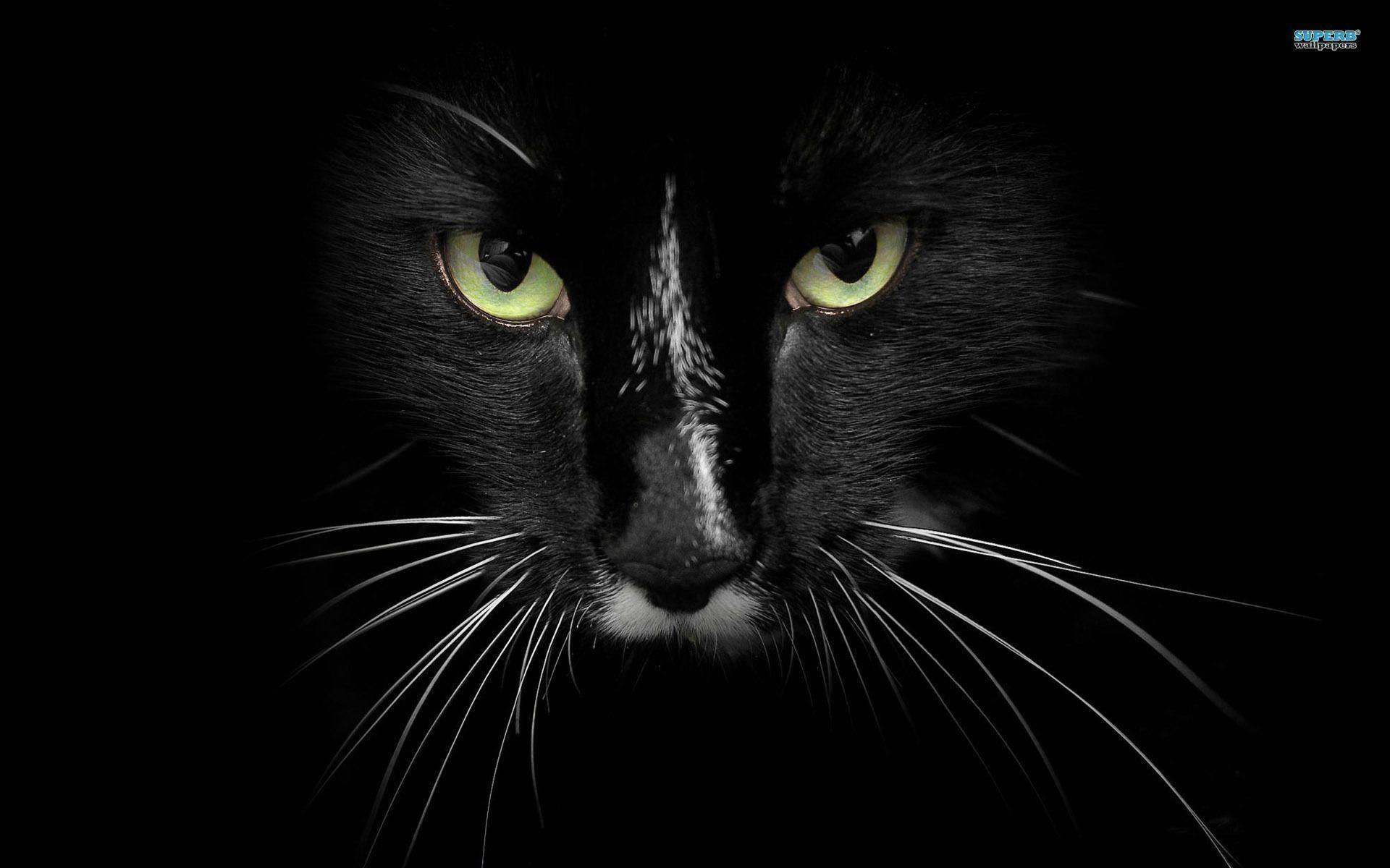 Detail Black Wallpaper Hd 1080p Koleksi Nomer 20