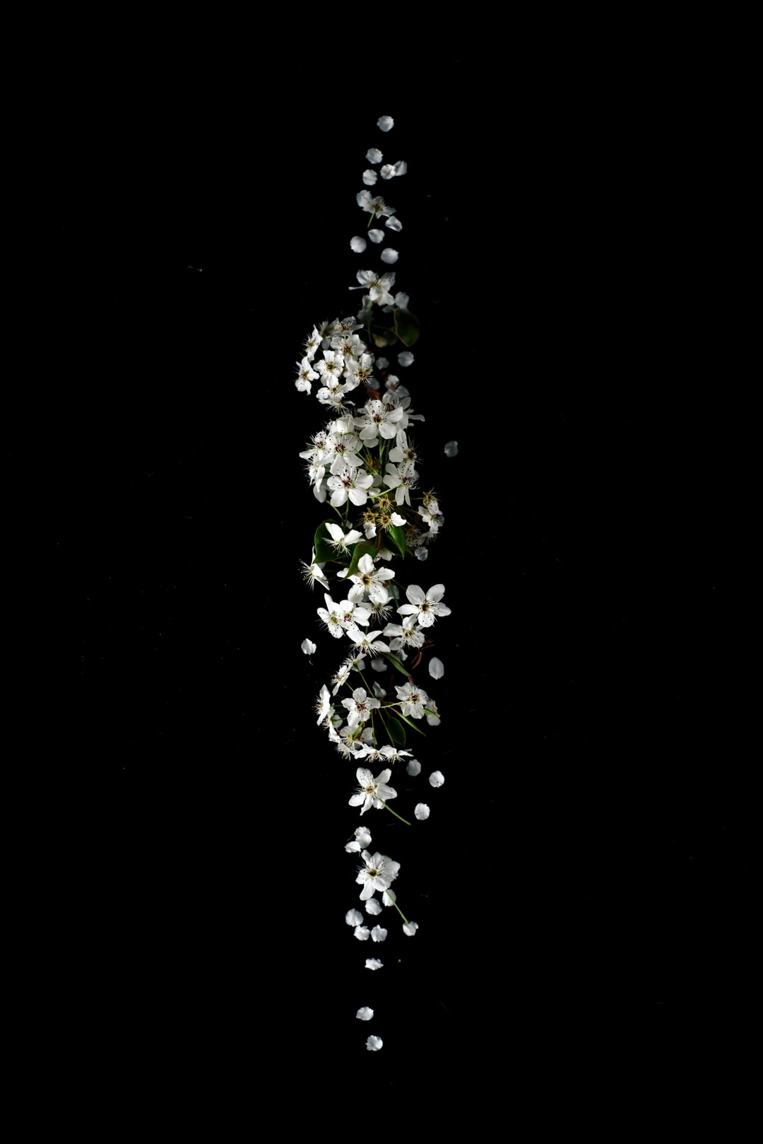 Detail Black Wallpaper Hd Nomer 38