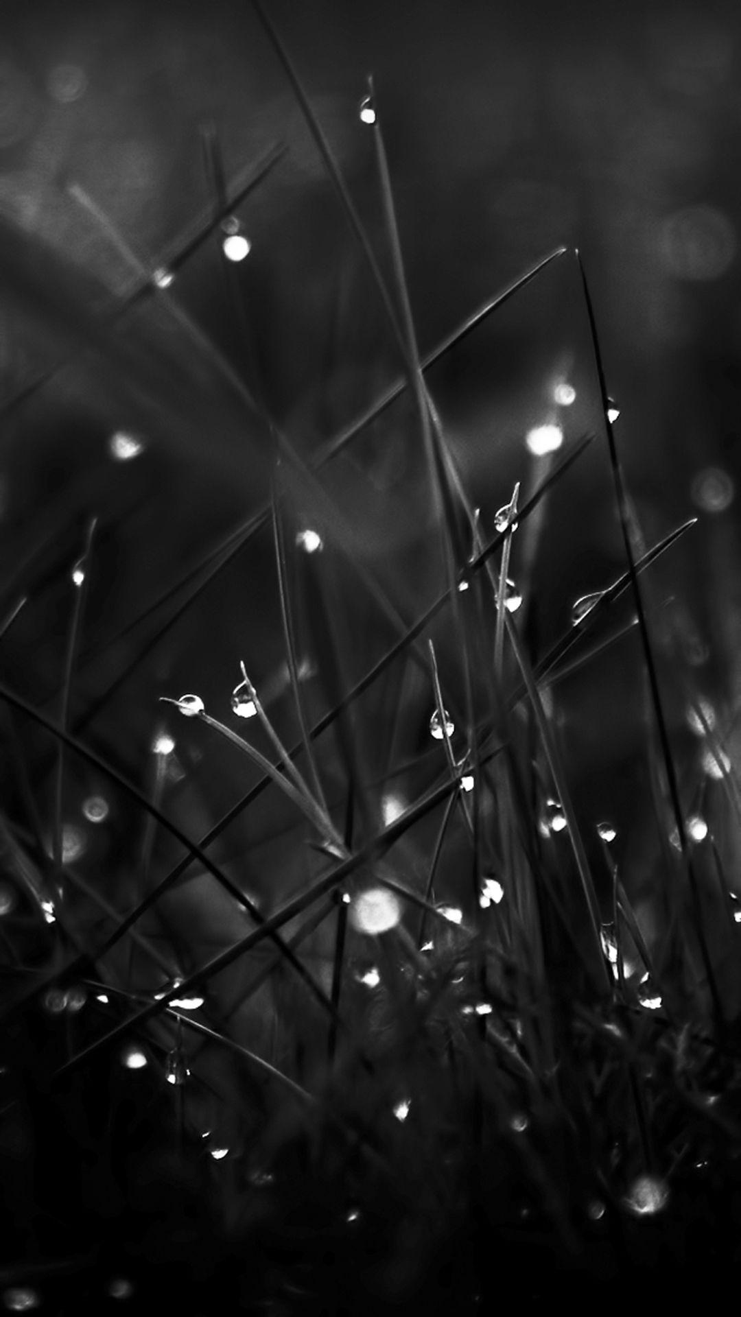 Detail Black Wallpaper Hd Android Nomer 41