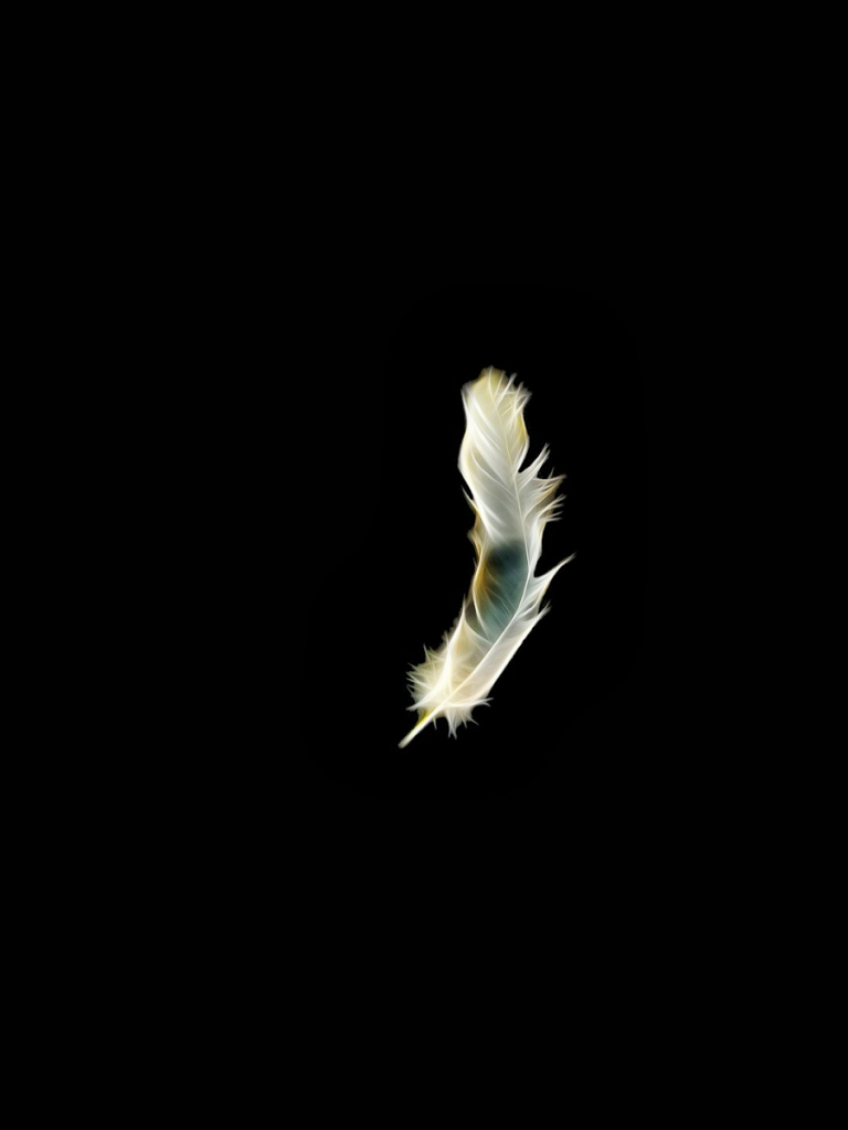 Detail Black Wallpaper Hd Android Nomer 55