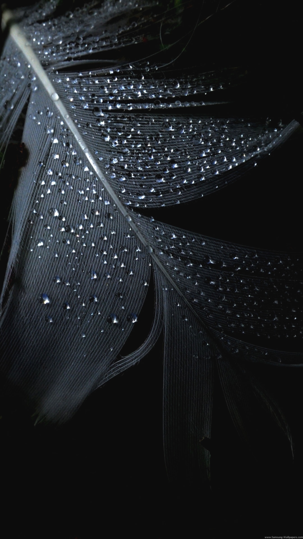 Detail Black Wallpaper High Resolution For Iphone Nomer 21