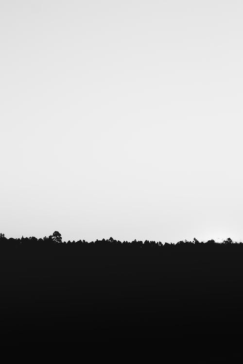 Black White Background - KibrisPDR