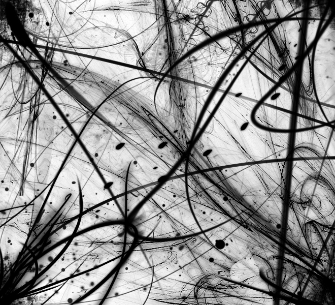 Detail Black White Background Nomer 34