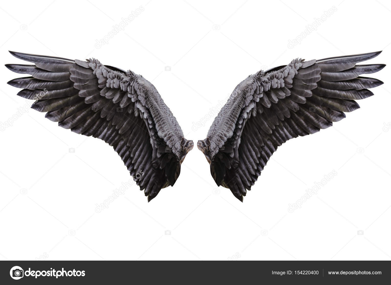 Detail Black Wing Nomer 35