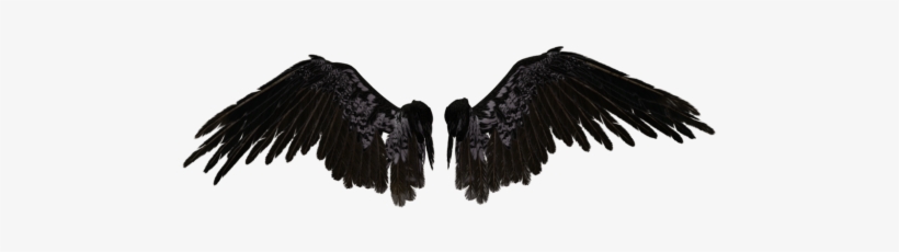 Detail Black Wing Png Nomer 23