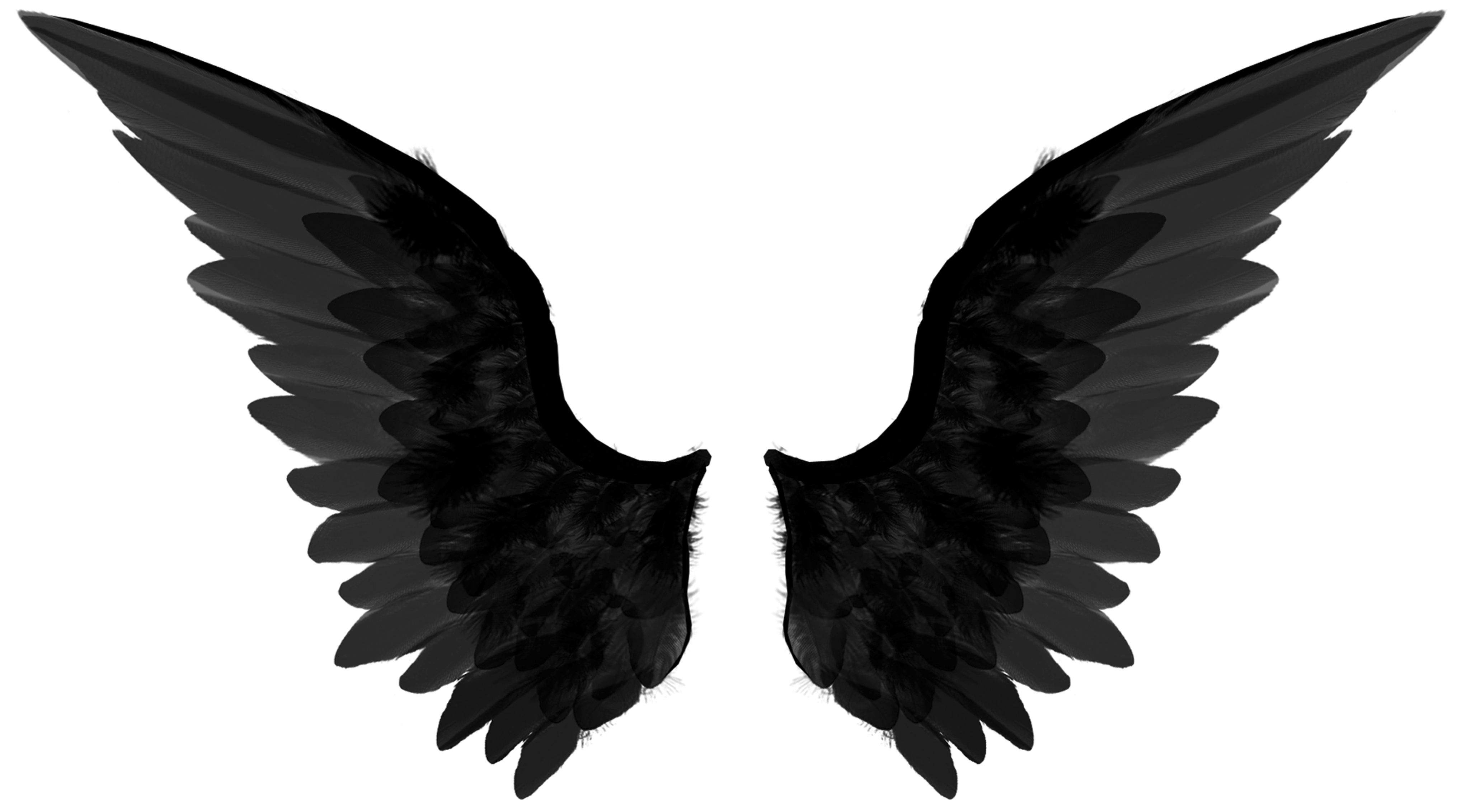 Detail Black Wing Png Nomer 4