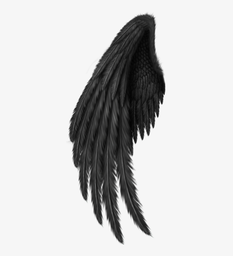 Detail Black Wing Png Nomer 10