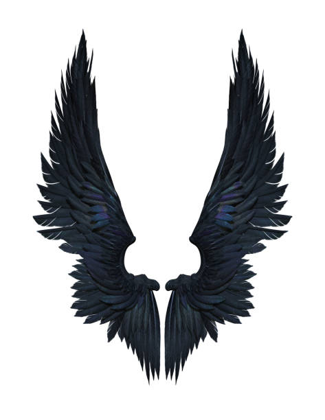 Detail Black Wings Nomer 2