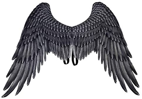 Detail Black Wings Nomer 11