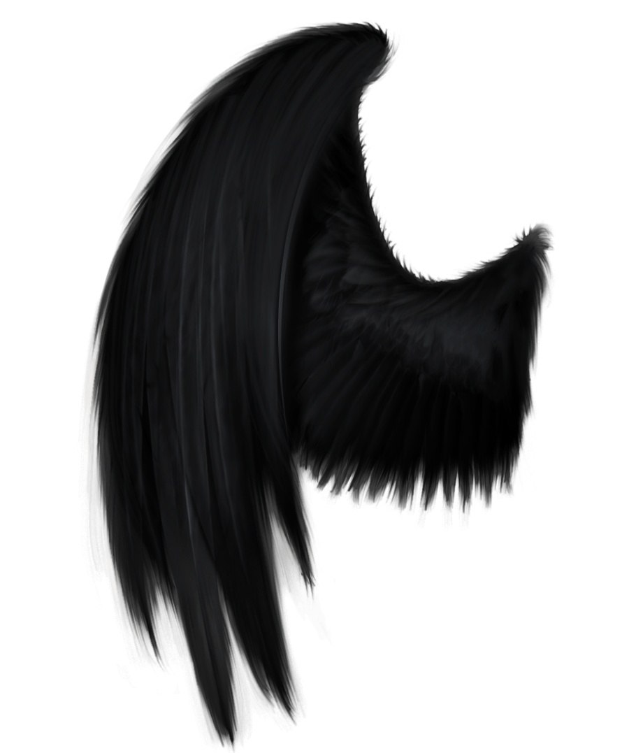 Detail Black Wings Nomer 16