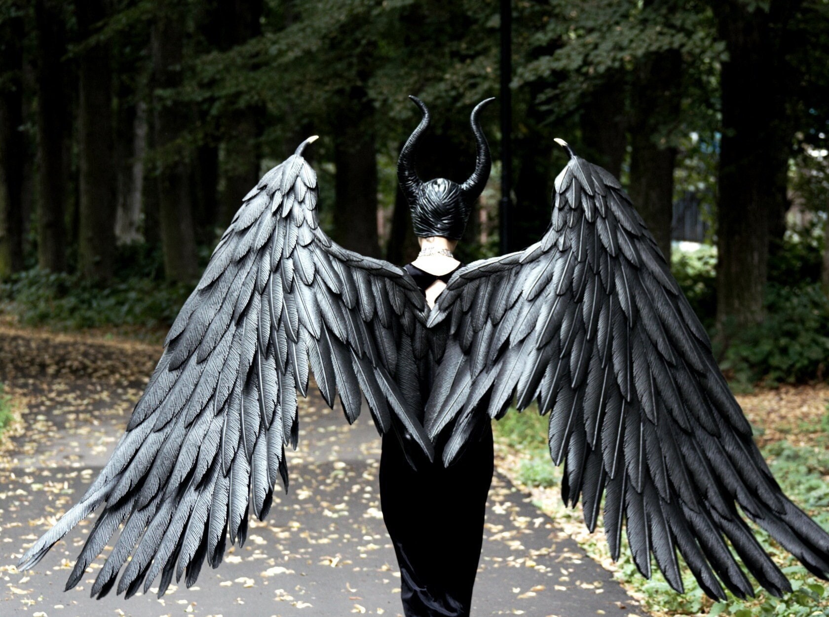Detail Black Wings Nomer 19