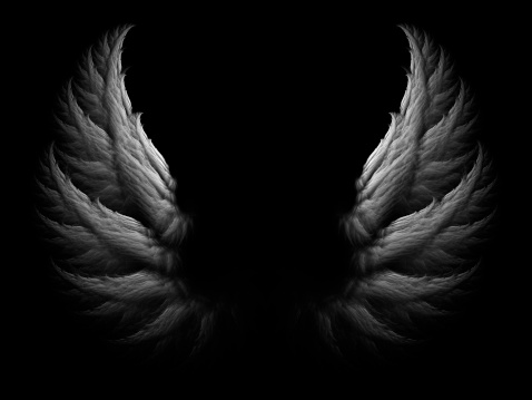 Detail Black Wings Nomer 21