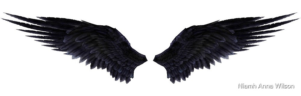 Detail Black Wings Nomer 25