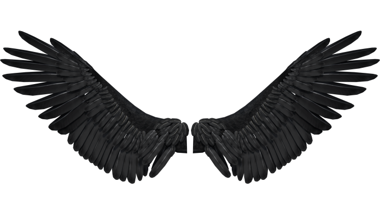 Detail Black Wings Nomer 4