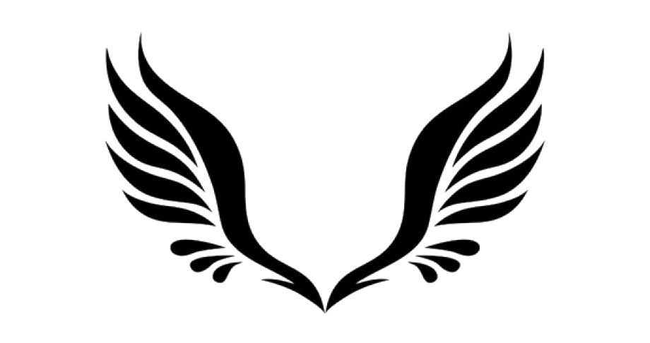 Detail Black Wings Nomer 42