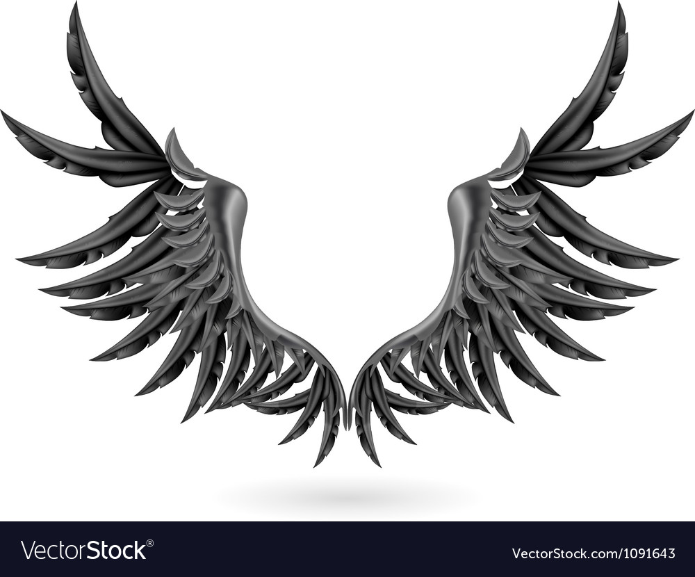 Detail Black Wings Nomer 44