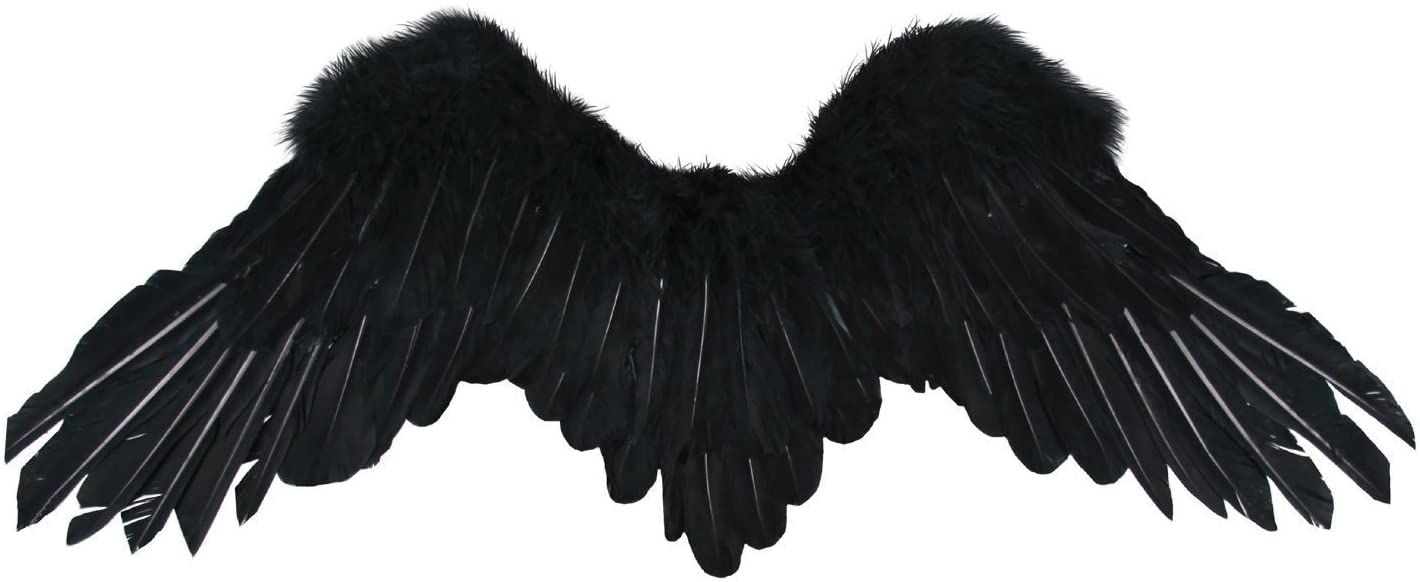 Detail Black Wings Nomer 6