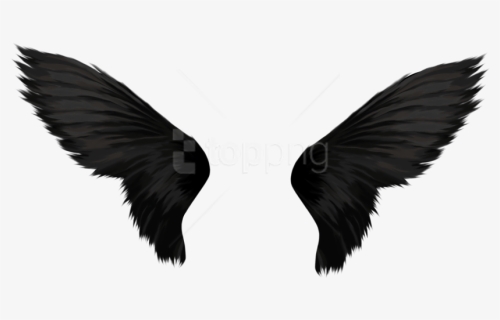 Detail Black Wings Background Nomer 17