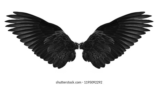 Detail Black Wings Background Nomer 20