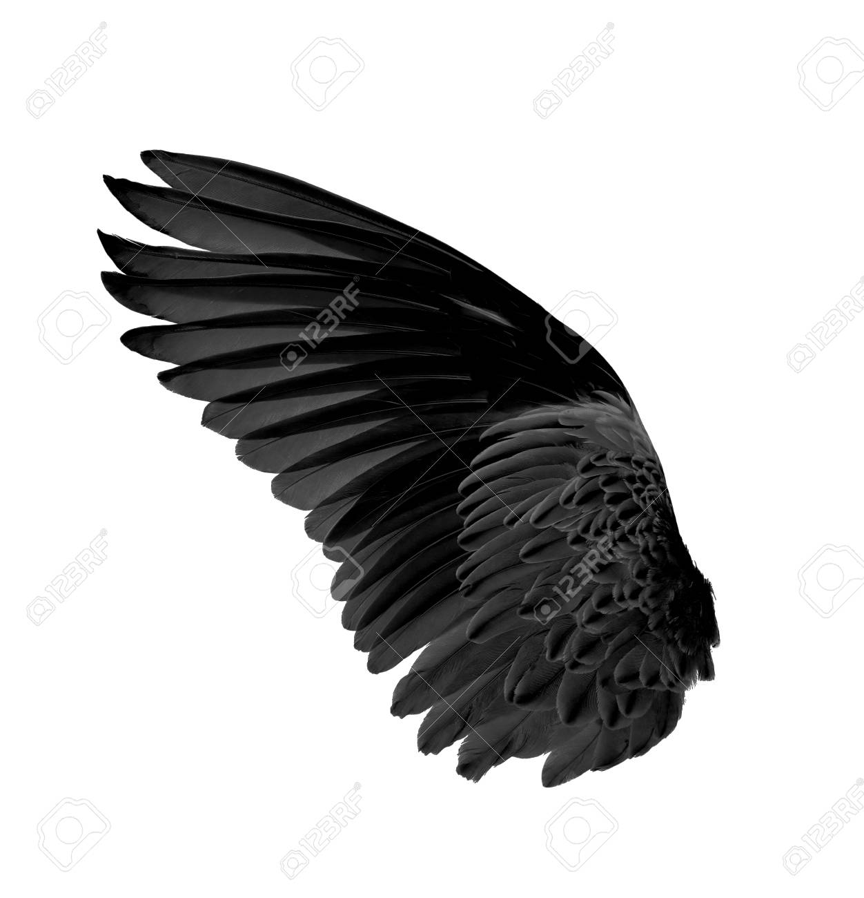 Detail Black Wings Background Nomer 21