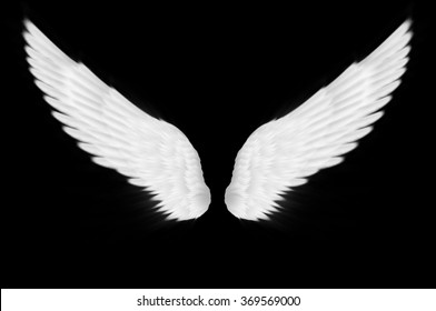 Detail Black Wings Background Nomer 27