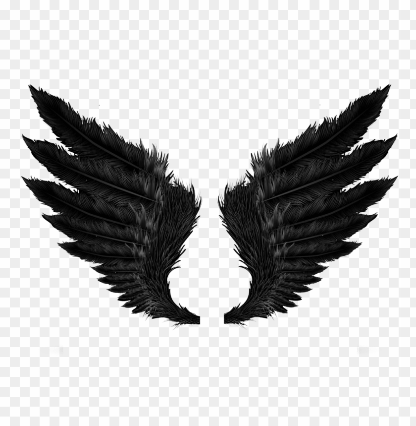 Detail Black Wings Background Nomer 28