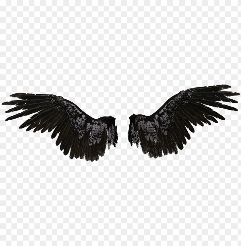 Detail Black Wings Background Nomer 33