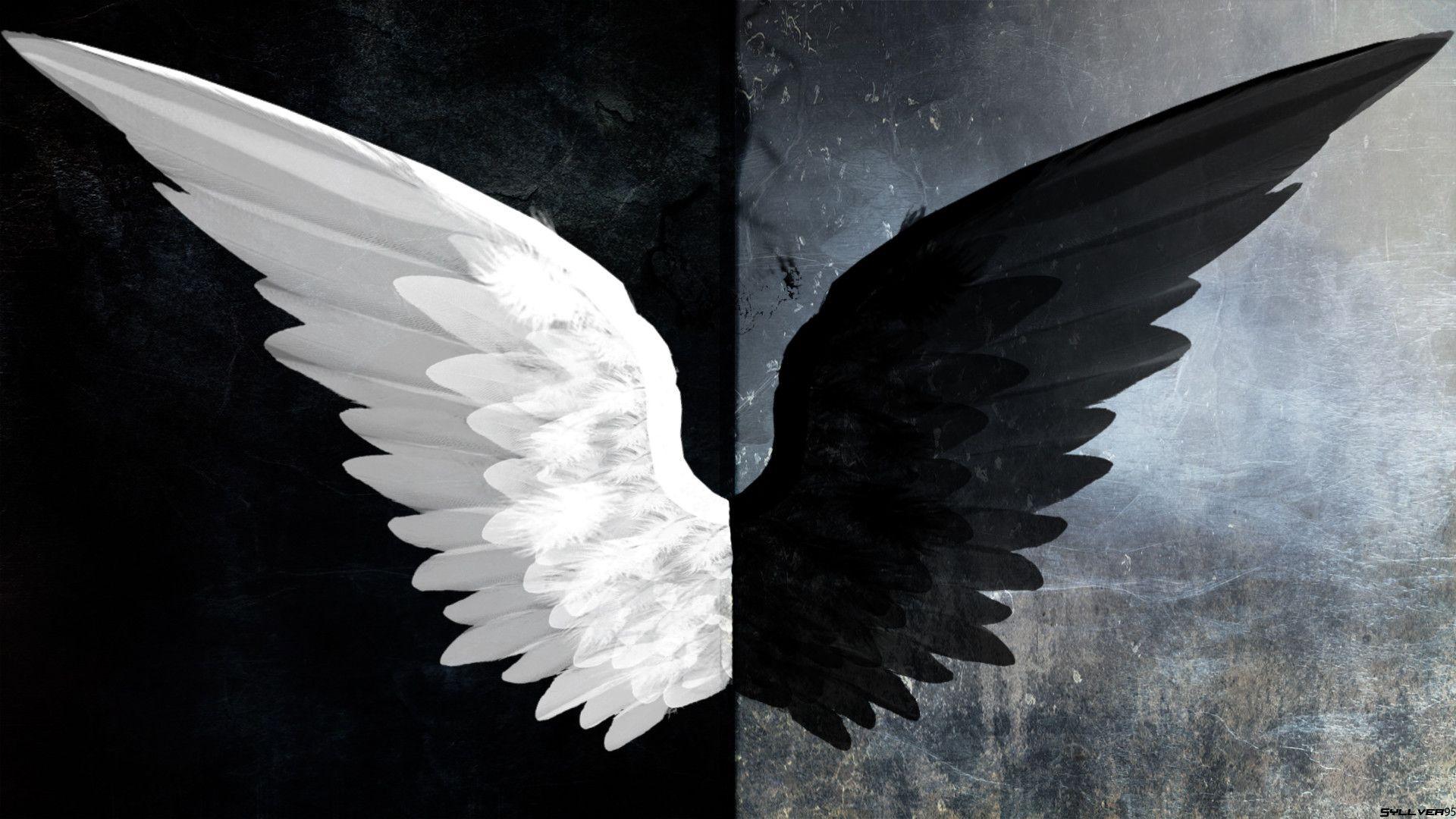 Detail Black Wings Background Nomer 34