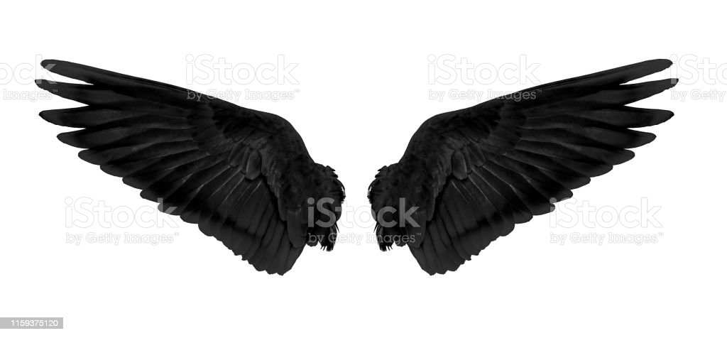 Detail Black Wings Background Nomer 35