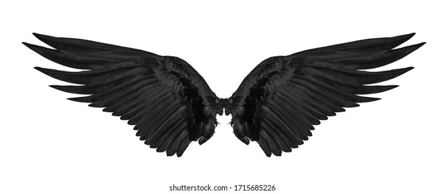 Detail Black Wings Background Nomer 37