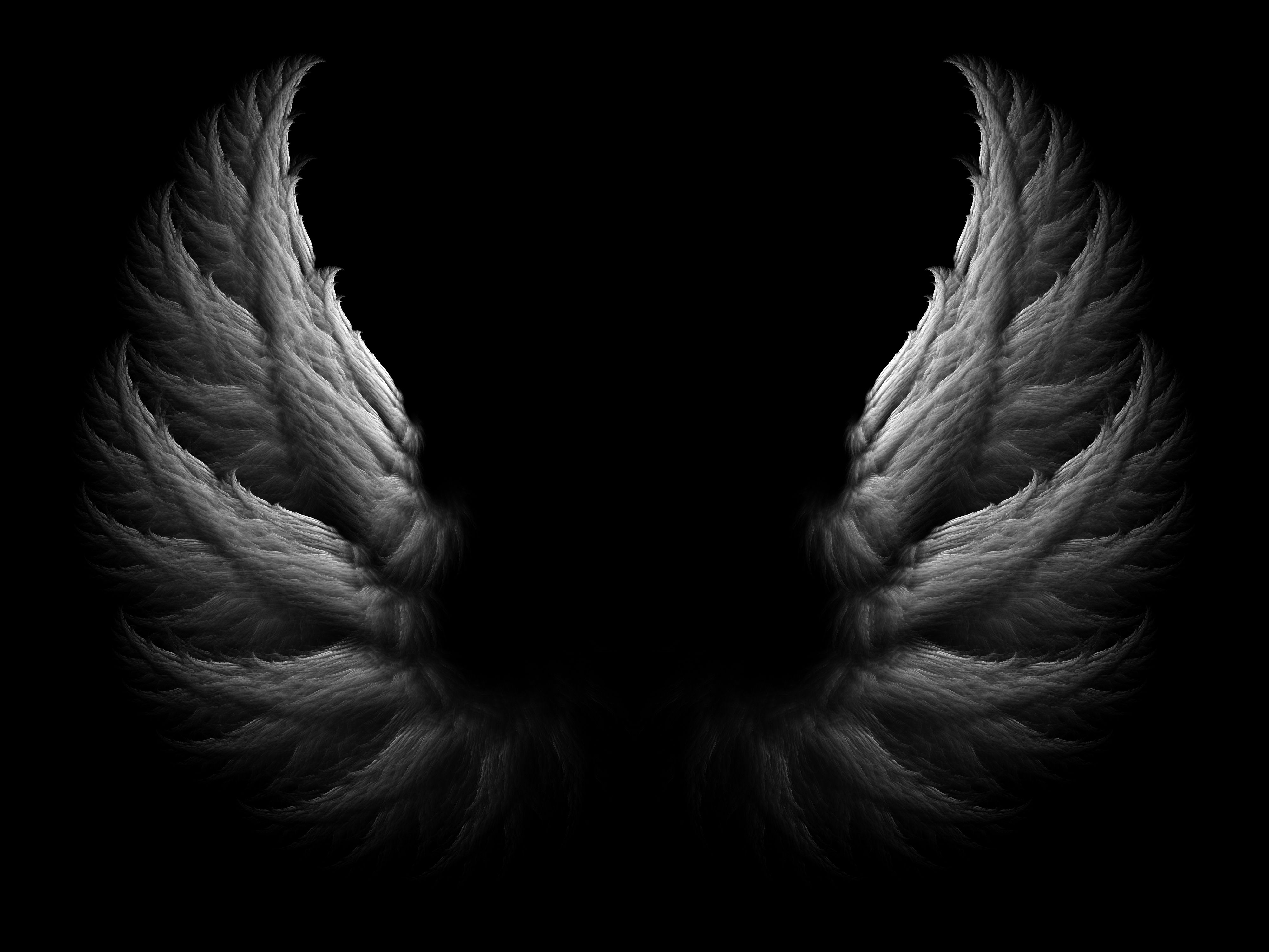 Detail Black Wings Background Nomer 5