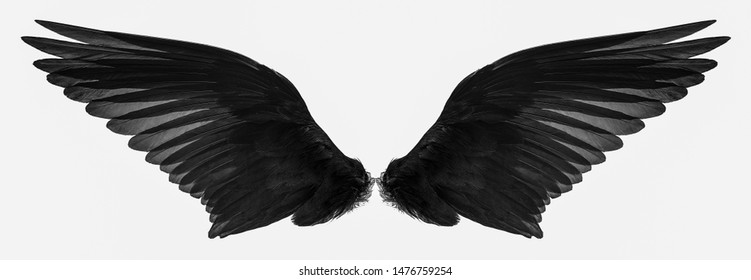Detail Black Wings Background Nomer 40